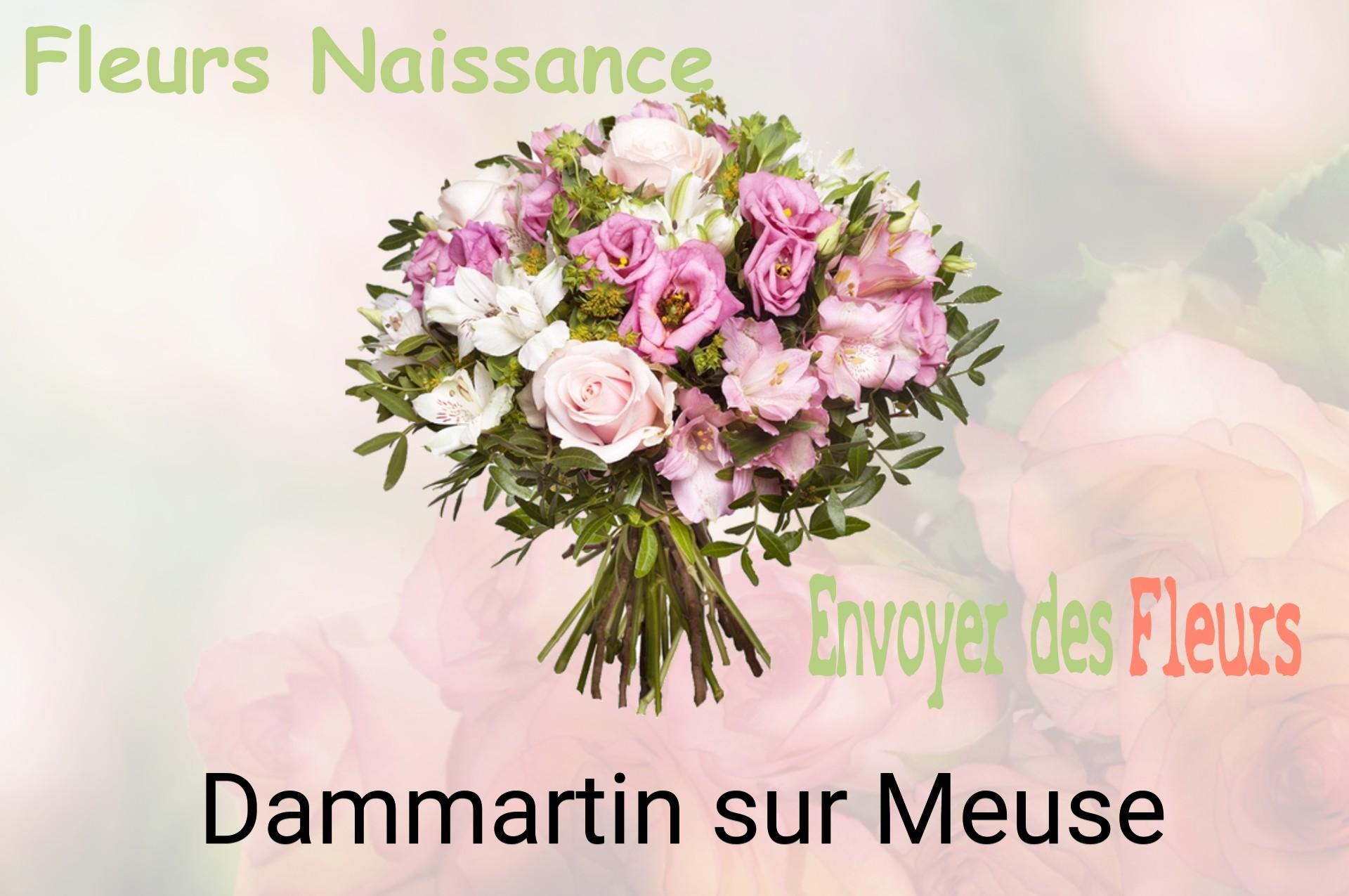 Bouquet de fleurs de naissance livré à Dammartin-sur-Meuse